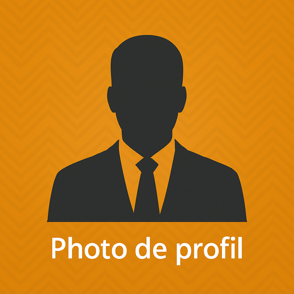 Freelance asdecode Chasles Wilfried Metighe